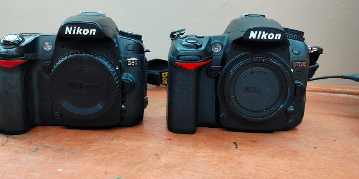 Upgrading Cameras: D80 to D7000