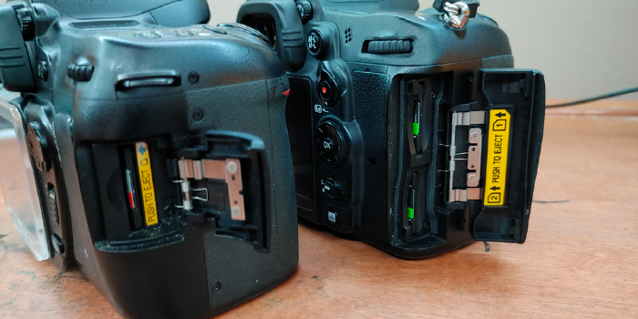 Upgrading Cameras: D80 to D7000
